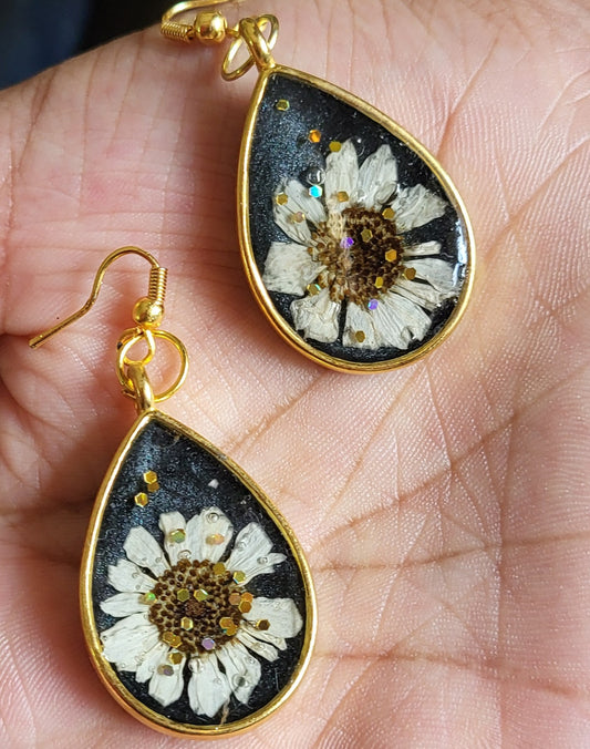 Midnight Daisy Drops