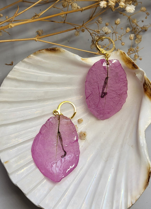 Bougainvillea Rosé Drops