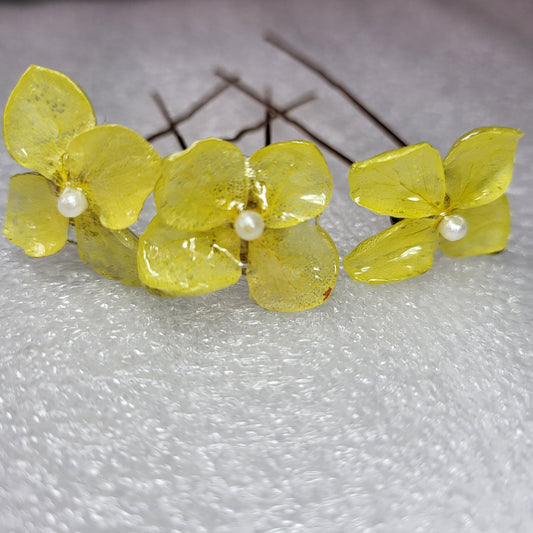 Buttercup Radiance Pins