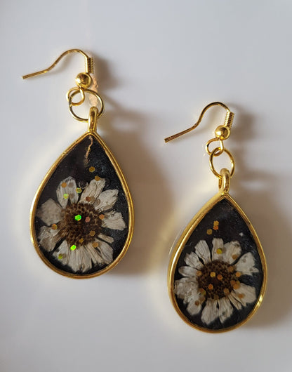 Midnight Daisy Drops