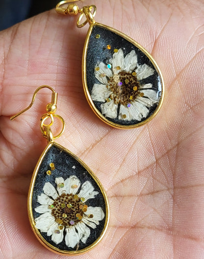 Midnight Daisy Drops