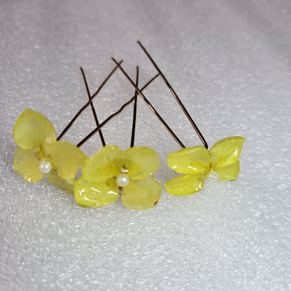 Buttercup Radiance Pins