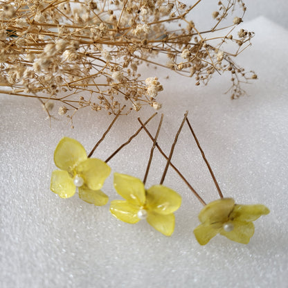 Buttercup Radiance Pins