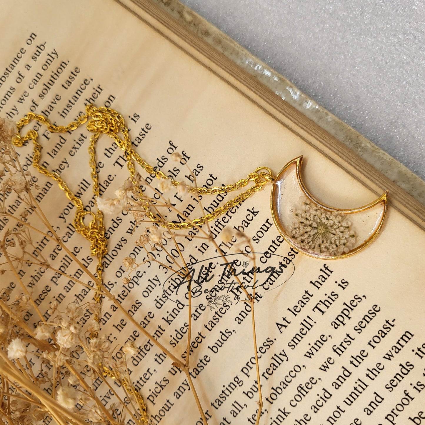 Queen Anne’s Lace Moon Set