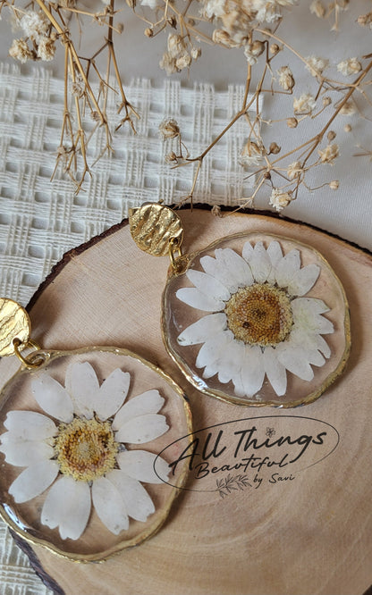Wild Daisy Set