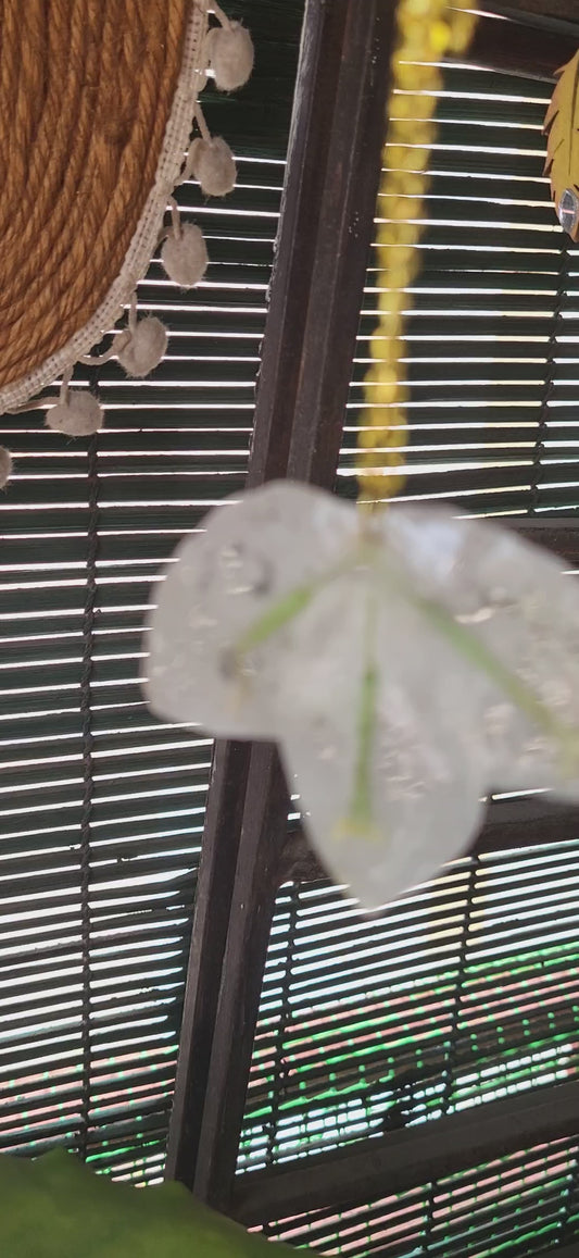 Moonlit  Bougainvillea Chain