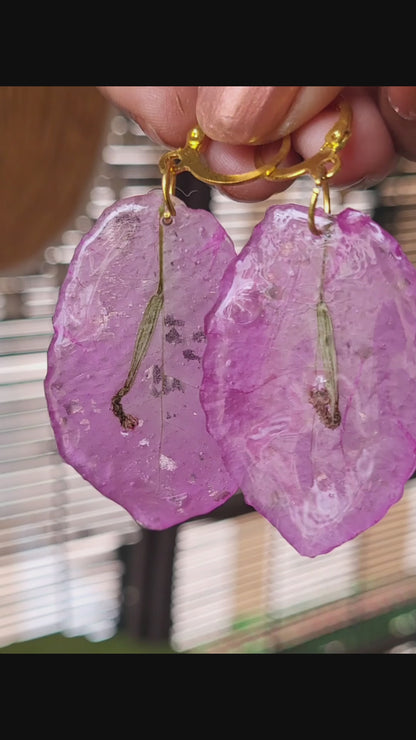 Bougainvillea Rosé Drops