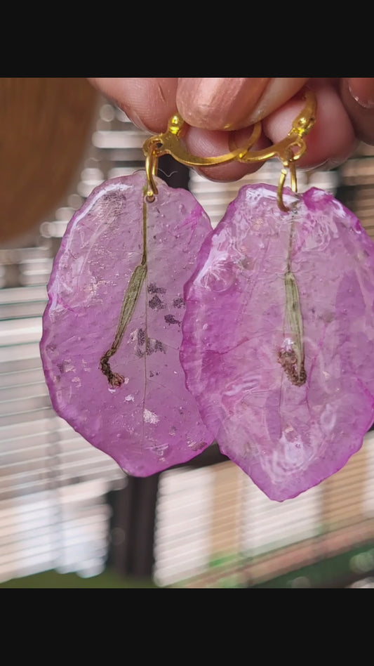 Bougainvillea Rosé Drops