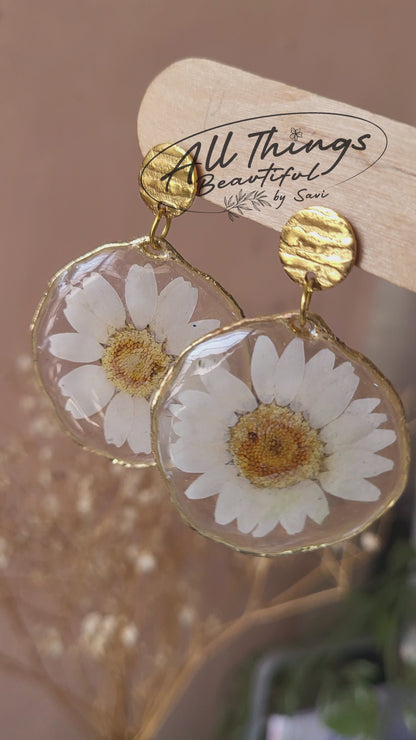 Wild Daisy Set